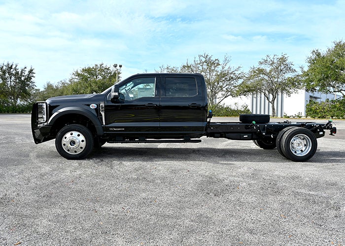 Force Customs in Tampa FL